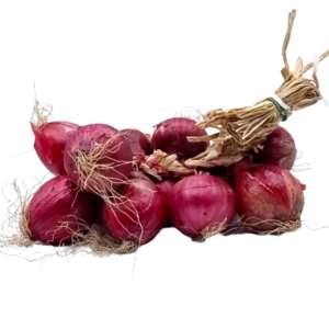 Cipolla A Treccia 5kg