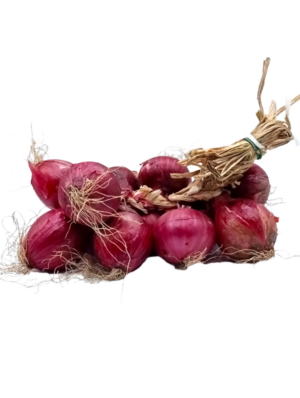 Cipolla A Treccia 5kg