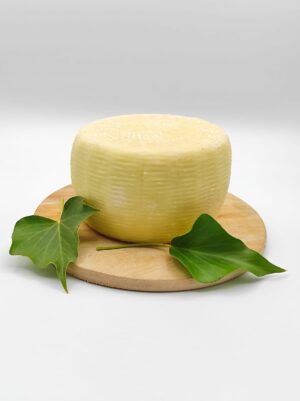 Formaggio Pecorino Fresco 1/1,3 kg