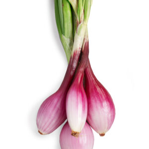 Cassetta di Cipolla Fresca 5 kg